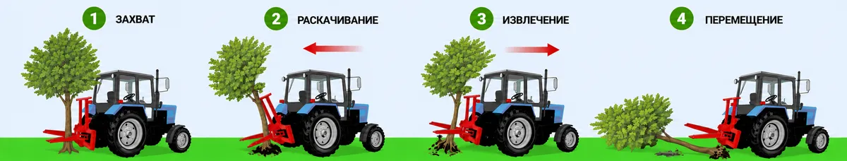 Принцип работы корчевателя КД-1: захват дерева, раскачивание, извлечение с корнями и перемещение